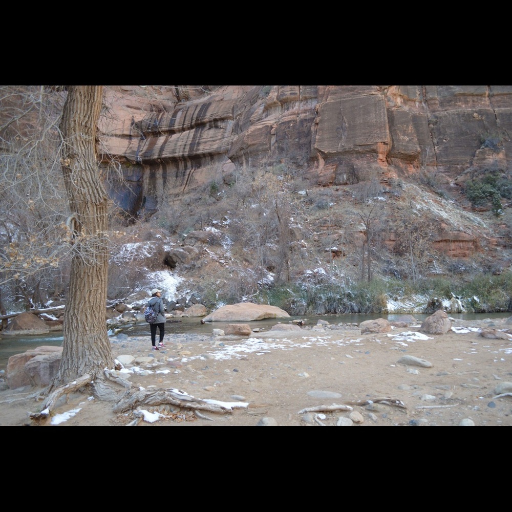 Meet your Posher, Joyce